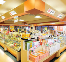 SOHPS 画像